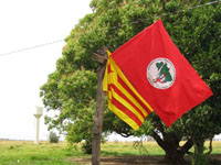 foto brasil