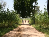 foto camerun